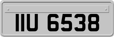 IIU6538