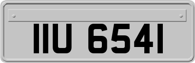 IIU6541