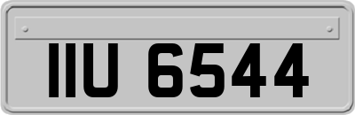 IIU6544