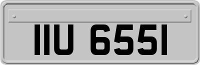 IIU6551
