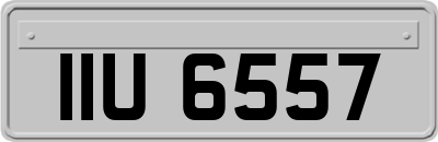 IIU6557