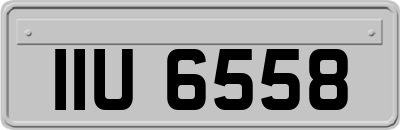 IIU6558