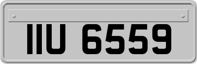 IIU6559