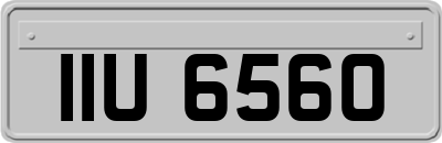 IIU6560