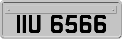 IIU6566