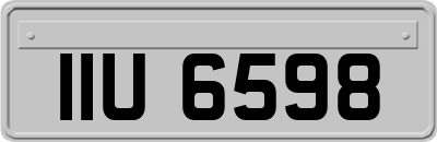 IIU6598