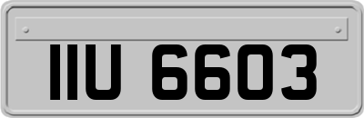 IIU6603