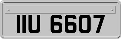 IIU6607