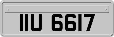 IIU6617
