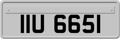 IIU6651