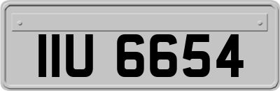 IIU6654
