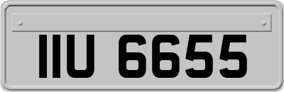 IIU6655