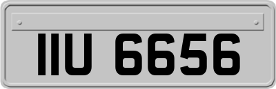 IIU6656