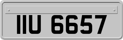 IIU6657