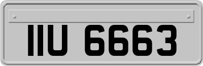 IIU6663