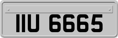 IIU6665