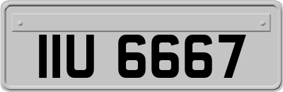 IIU6667