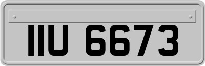 IIU6673
