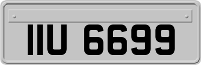 IIU6699