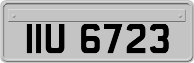 IIU6723