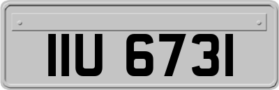 IIU6731