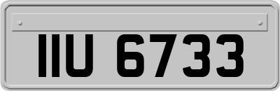 IIU6733