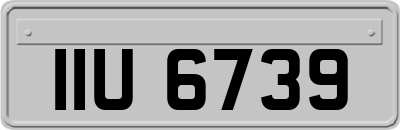 IIU6739