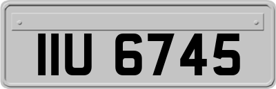 IIU6745