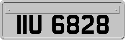 IIU6828