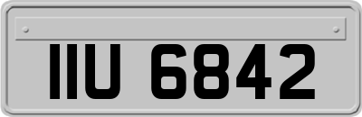 IIU6842