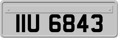IIU6843