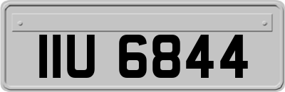 IIU6844