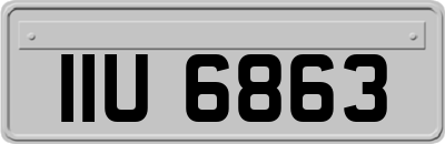 IIU6863