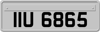 IIU6865