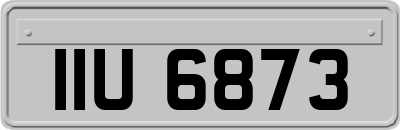 IIU6873