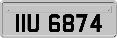 IIU6874