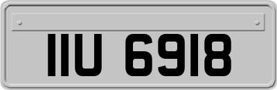IIU6918