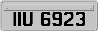 IIU6923