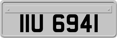 IIU6941