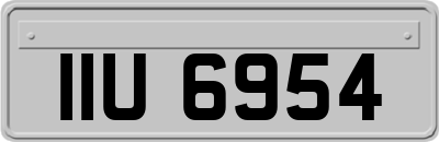 IIU6954