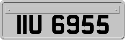 IIU6955