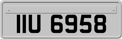 IIU6958