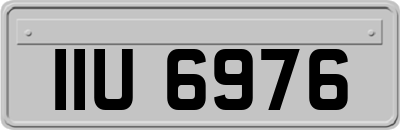 IIU6976
