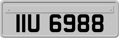 IIU6988