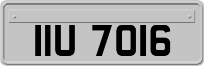 IIU7016