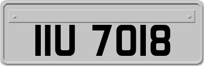 IIU7018