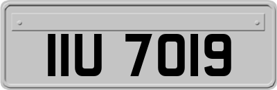 IIU7019
