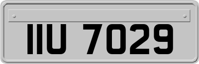 IIU7029