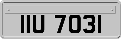 IIU7031