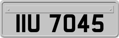 IIU7045